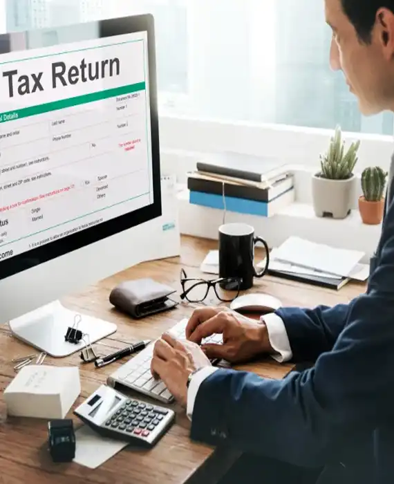 Tax-consultant